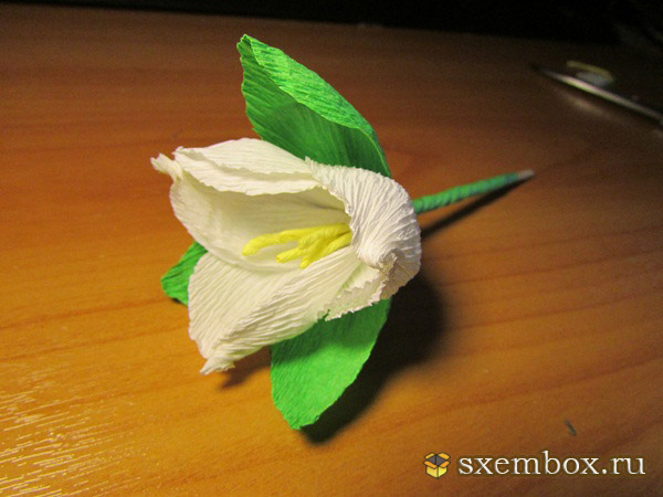 Мастер-класс цветка из гофрированной бумаги «Свежесть»