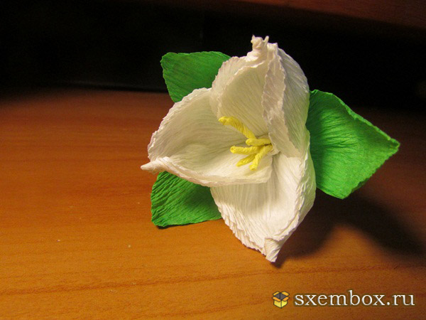 цветок из гофрированной бумаги