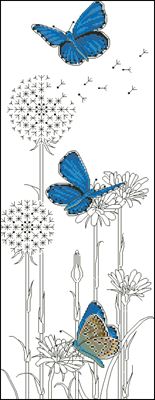 Adonis Blue Butterflies