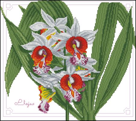 Phajus Orchid вышивка схема бесплатно