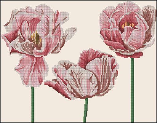 Hearts of Tulips схема