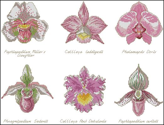 Схема для бисера и креста на габардине «Орхидеи»