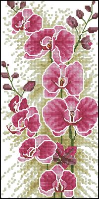Resplendent Orchid вышивка крестиком