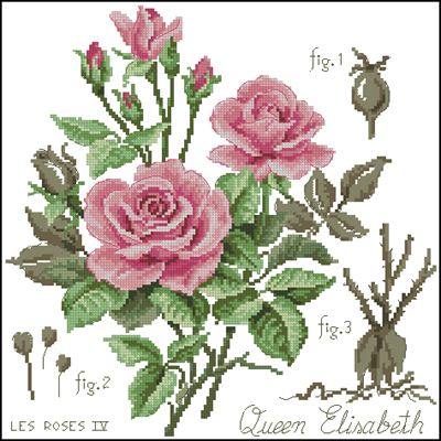 Розы розовые схема для вышивки крестом скачать