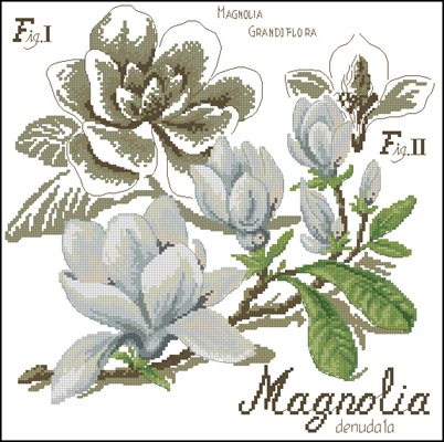 Flower&shadow-magnolia схема вышивки крестом