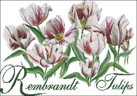 Rembrand Tulips вышивка крестом скачать схему бесплатно