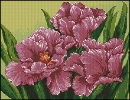 Fringed tulips схема вышивки