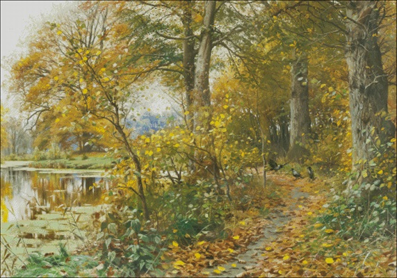 Autumn in a forest