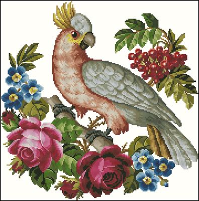 Parrot And Roses