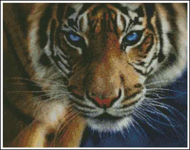 Вышивка — Тигр