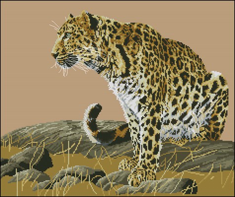 Vigilance Le Leopard