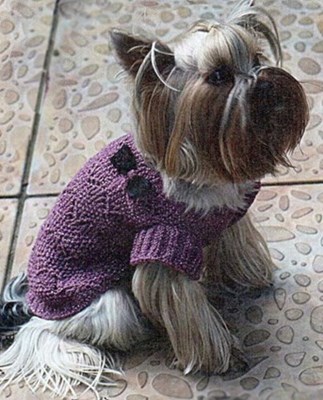 Сиреневый свитер для собачки